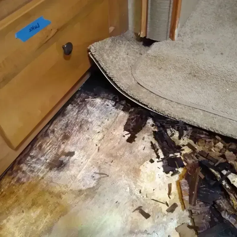 Best Wood Floor Water Damage Service in Southwest Ranches, FL